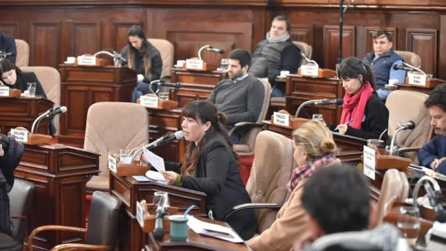 Encuesta: tres de cada cuatro platenses no conoce el nombre de ningún concejal