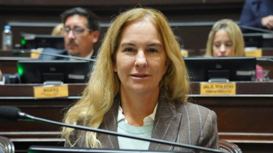 Ley de Bienestar Emocional: “Tiene que ser ya, porque los chicos se suicidan”
