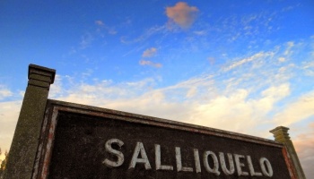 Salliqueló: El médano dorado