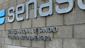 Increíble: Los responsables de los despidos en el SENASA están denunciados por estafa