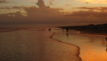 Villa Gesell, una ciudad llena de vida