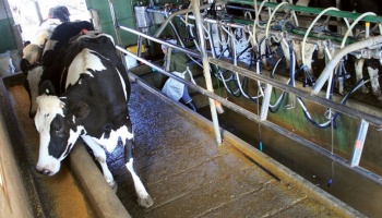 Los productores tamberos reclaman una reacción del ministro de Agroindustria ante la crisis