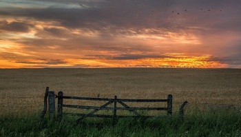 El desafío de poder crecer