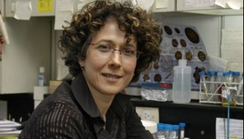 Andrea Gamarnik, una mujer de ciencia