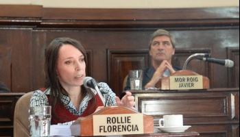 El Concejo platense profundiza la fragmentación y se pone más amarillo