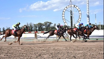Venganza: Provincia dejó al hipódromo sin el Dardo Rocha pero permitió que operen los bingos