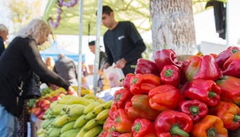 Inflación: Provincia invertirá 13 millones en el programa “El Mercado en tu Barrio”