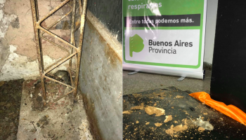 Abandono e invasión de roedores en la subsecretaría de Adicciones