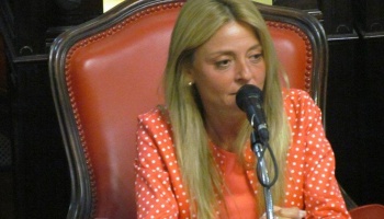 La vice del IOMA detuvo todos los pagos de tratamientos a largo plazo