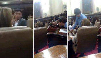 La Plata: Un video muestra cómo el presidente de bloque le pone los puntos a Tolosa Paz 