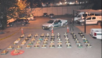 Mega operativo a cargo del juez Jorge Rodríguez secuestró 1300 kilos de marihuana