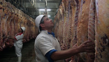 ​​​​​​​ARBA le declaró la guerra a los matarifes 