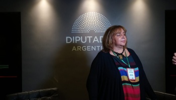 Apuntan contra Bullrich por incentivar los negocios de traficantes con la prohibición del cannabis