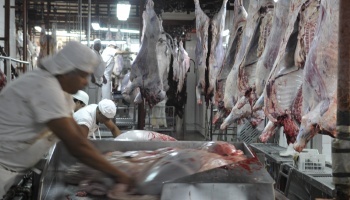 Hartos de la presión impositiva, la cadena de la carne le puso los puntos a la AFIP