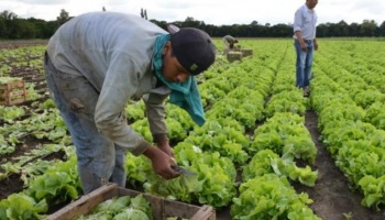 Pequeños productores insisten con una reforma agraria: “No avalamos la toma, pero pasa”
