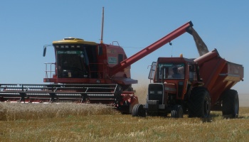 De cada 100 pesos que genera el campo, el estado se queda con 60