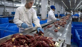 Los efectos del coronavirus, un gran dolor de cabeza para los exportadores de carne argentinos