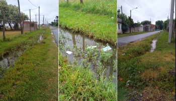 La Plata: Preocupados por el dengue, denuncian foco de infección en Altos de San Lorenzo