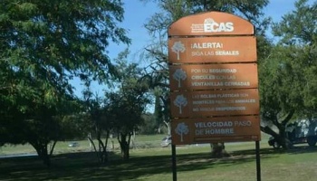 ECAS: Denuncian a gremialistas por “venta de animales exóticos y entradas truchas”