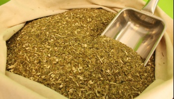 Afirman que el mate cocido ayuda a combatir la pandemia