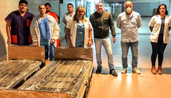 Las fundaciones y la lucha contra el COVID-19, según la CNN