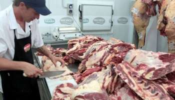 Crecen las exportaciones de carne, pero el consumo no logra repuntar