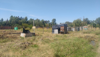 Guernica: La Justicia protegió a los propietarios de lotes de la usurpación de tierras