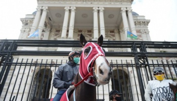 Tras el fracaso sanitario, denuncian al subadministrador del hipódromo de La Plata por amenazas de muerte