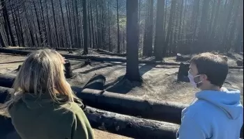 “El incendio en Chubut habría sido provocado por una facción de la RAM”