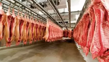 Por fraude, suspenden la operación de doce empresas que exportaban carne
