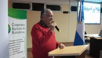 Cepo a la exportación de carne: “Una semana más significaría el cierre de frigoríficos”
