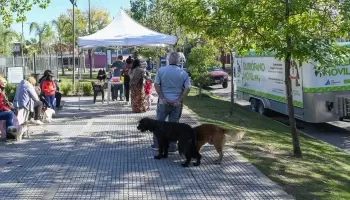 San Fernando: El quirófano móvil de Zoonosis cumple siete años