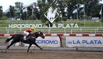 Hipódromo de La Plata: De cara al Gran Premio, PBA improvisa un lavado de cara