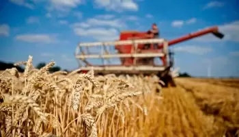 La Bolsa de Cereales lanzará la Campaña Gruesa 2021/22