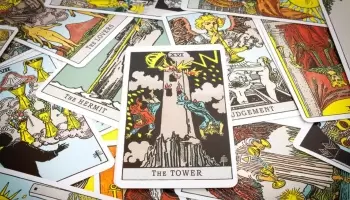 Las elecciones según el tarot: “Incendio, destrucción y reyes que se tiran por la ventana”