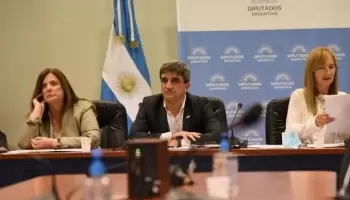 Avanza en Diputados el proyecto de donación de plasma inmune para el tratamiento de fiebre hemorrágica