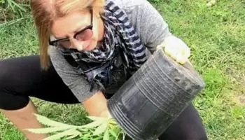 La odontóloga cultivadora tratada de narco: “La Justicia es ignorante, pero falta una decisión política”