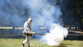 Dengue en La Plata: “Es importantísimo el descacharrado, por más ínfimo que a uno le parezca”