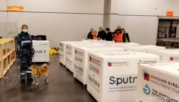 Confirmado: Se frustró el plan de 60 millones de dólares para producir la vacuna rusa en Argentina