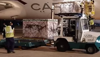 Llegaron a la Argentina 580 mil dosis de la vacuna producida en India