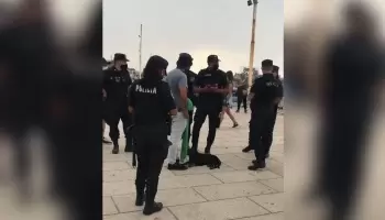 Maltrato animal: En Mar del Plata, transeúntes juntaron plata para salvar a un perro
