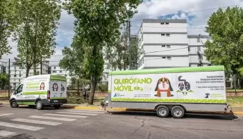 San Fernando: Zoonosis castró más de 8 mil perros y gatos en el último año