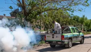 San Fernando: Operativo de prevención contra el dengue y los mosquitos en el verano