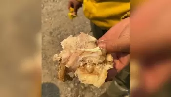 Así es la comida que el gobierno le da a los brigadistas que luchan contra los incendios