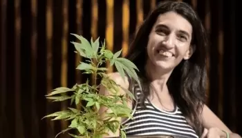 Producción de cannabis: “Uno termina cayendo en el mercado negro”