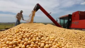 “Estamos destinados por las potencias a ser proveedores de materias primas”