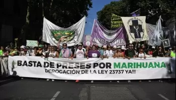 Cannabis Medicinal: “Es una sustancia beneficiosa para la salud, no hay que criminalizar su uso”