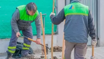 San Fernando sigue plantando nuevos árboles en distintos barrios