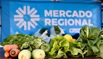 Alivio al bolsillo platense: Comienza otra semana con precios accesibles en el Mercado Central
