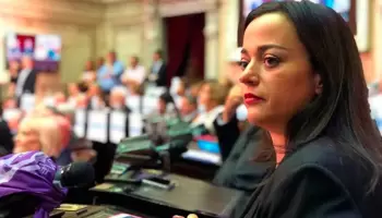 Se complicó el desembarco de Cecilia Moreau en la presidencia de la Cámara de Diputados